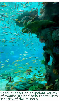 Reefs support an abundant variety of marine life and help the tourism industry of the country.