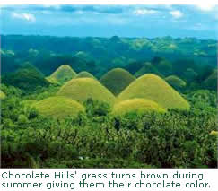 Chocolate Hills' grass turns brown during summer giving them their chocolate color.