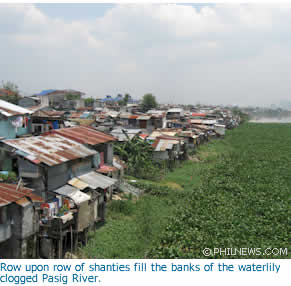 Row upon row of shanties fill the banks of the waterlily clogged Pasig River.