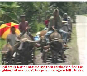 Civilians in North Cotabato use their carabaos to flee the fighting between Gov't troops and renegade MILF forces. 