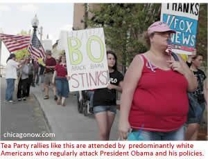 Tea Party rallies like this are attended by  predominantly white Americans who regularly attack President Obama and his policies