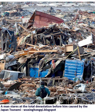 A man stares at the total devastation before him caused by the Japan Tsunami